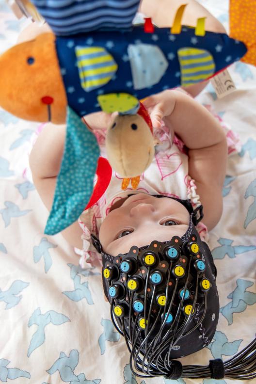 Les appareils fNIRS mini sont utilisés pour des études sur des sujets sensibles, tels que les bébés. Ils mesurent les changements locaux de concentration en oxy-, désoxy- et hémoglobine totale ainsi que l’indice de saturation tissulaire (TSI).